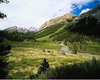 前Bungie CTO 现任PlayStation技术创意服务主管