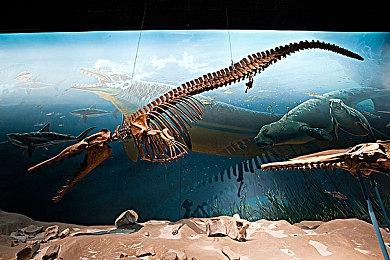 Spawn Together慈善活动为残疾玩家筹集了100万美元